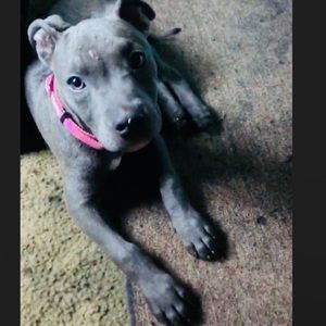 Meet your Posher, Hailey